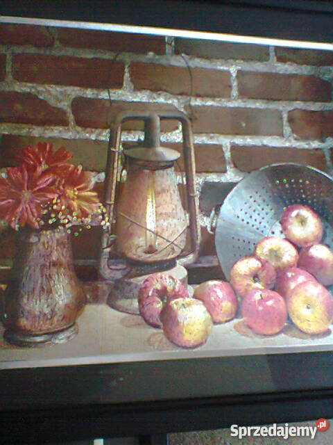 Obrazki martwa naturakwiaty i pejzarz Szczecin