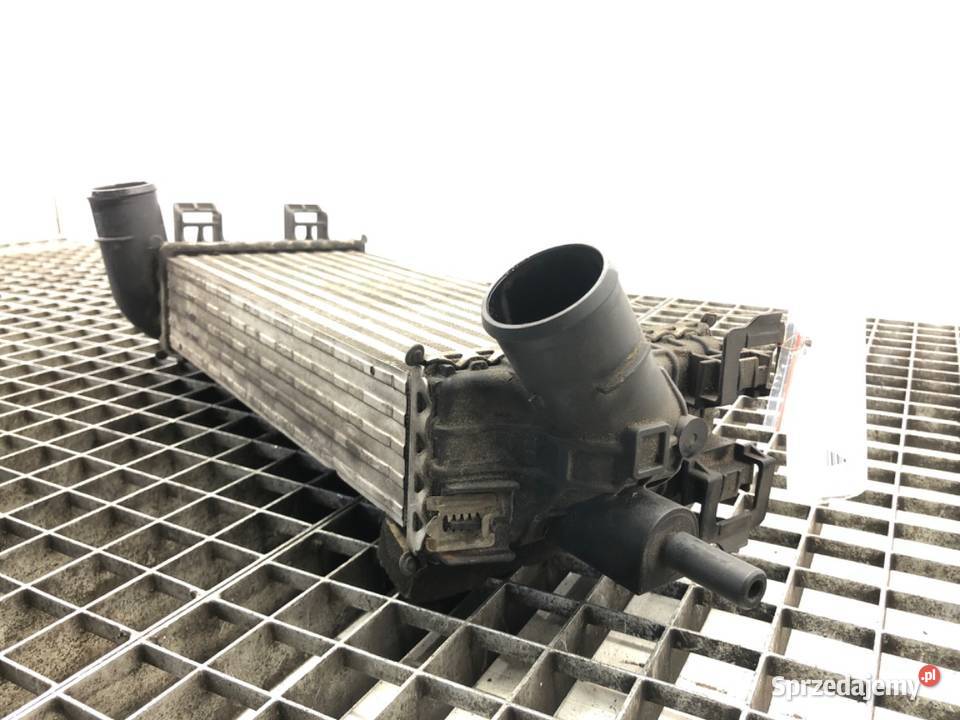 INTERCOOLER FORD FOCUS III 10 125 CHŁODNICA podkarpackie