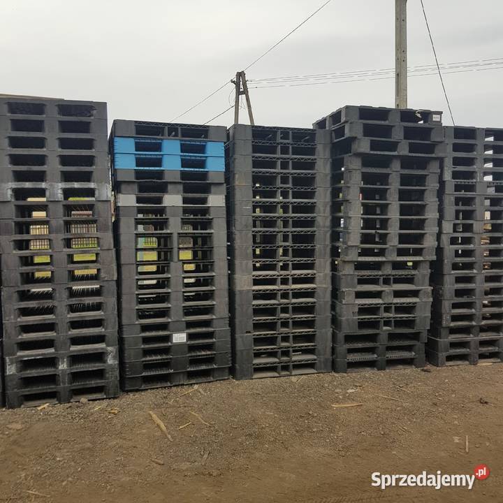 Palety plastikowe różne rozmiary podkarpackie Ławnica