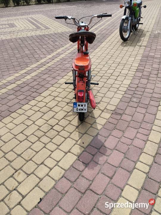 Pegaz Zarejestrowany nieuszkodzony