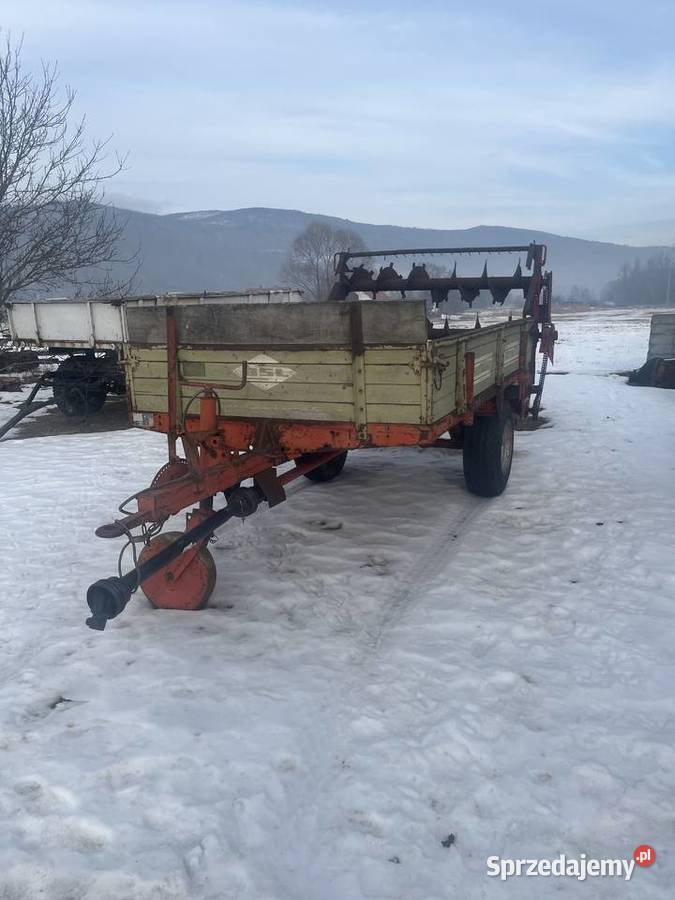 Rozrzutnik strautmann