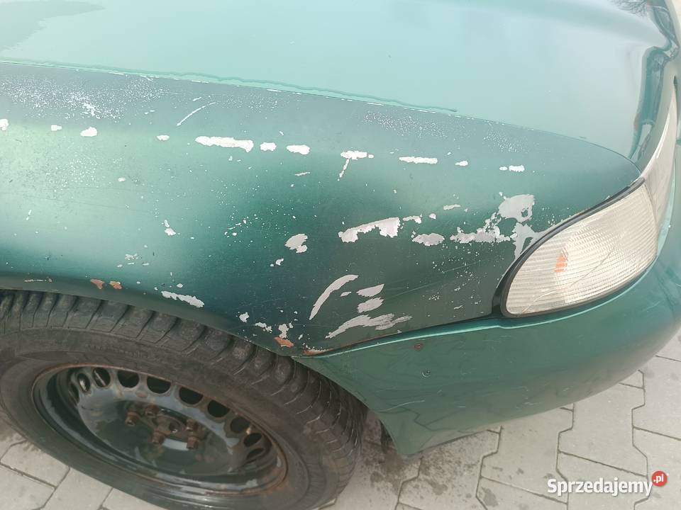 Błotnik Prawy LZ6L Audi A4 B5 a45 osobowe Części samochodowe