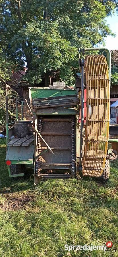 Kombajn do ziemniaków Hassia Kombajny Skrzeszowice