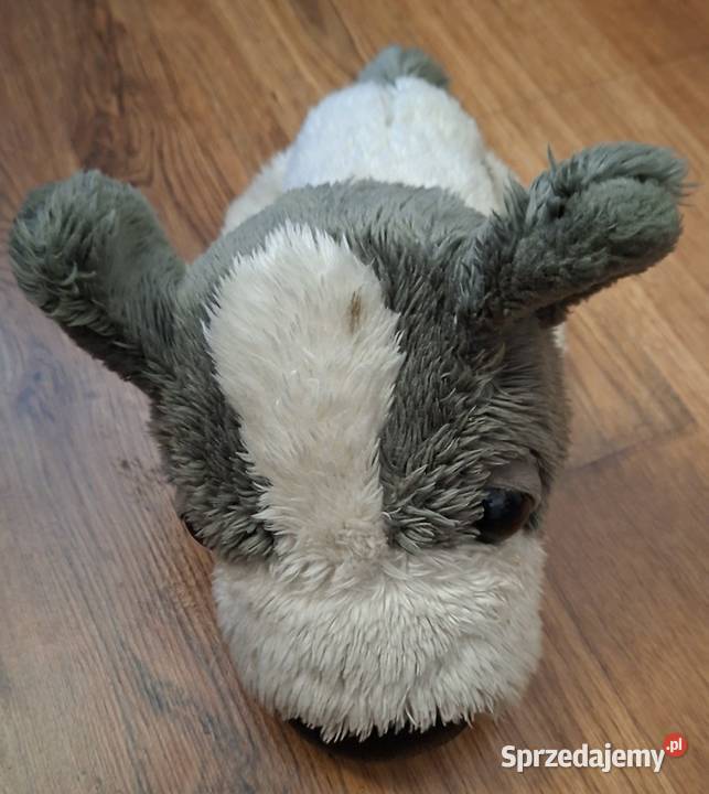 Maskotka piesek pluszak Zielona Góra sprzedam