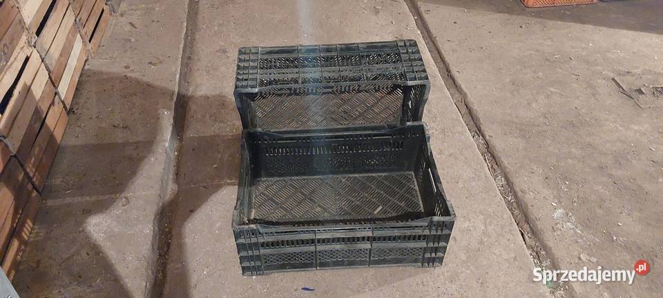 Skrzynki plastikowe 15 wielkopolskie Czempiń