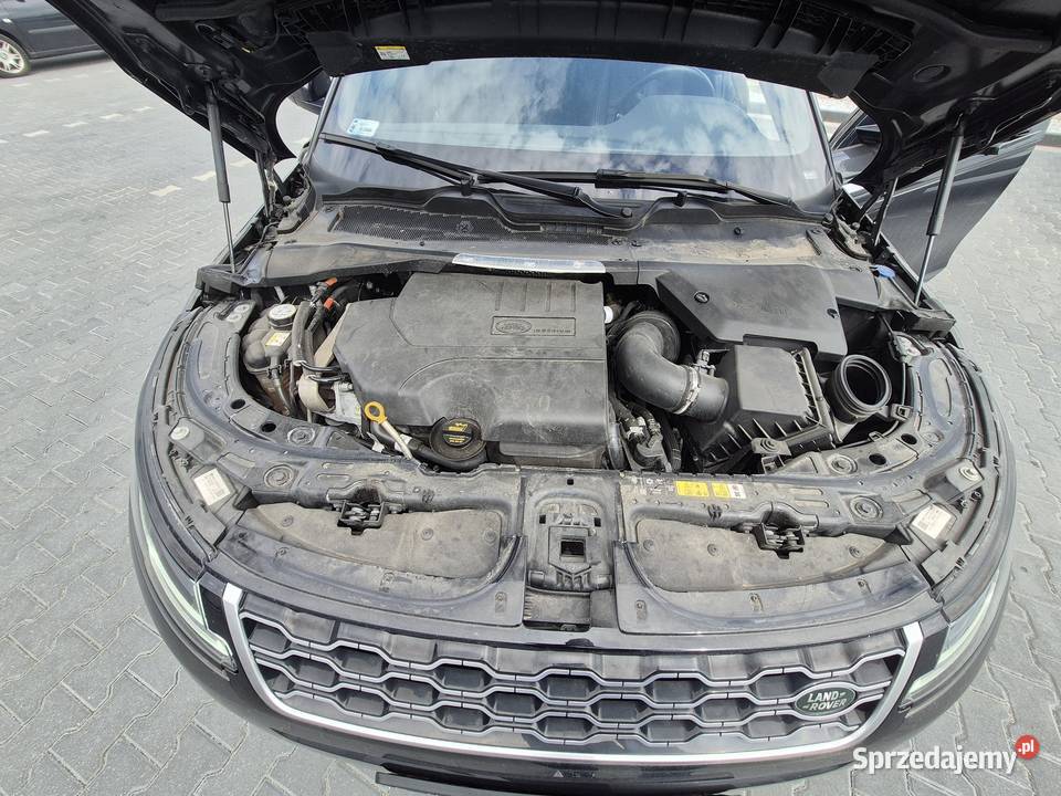 Syndyk Sprzeda Range Rover Evoque 20 Diesel MHEV Samochody osobowe Warszawa