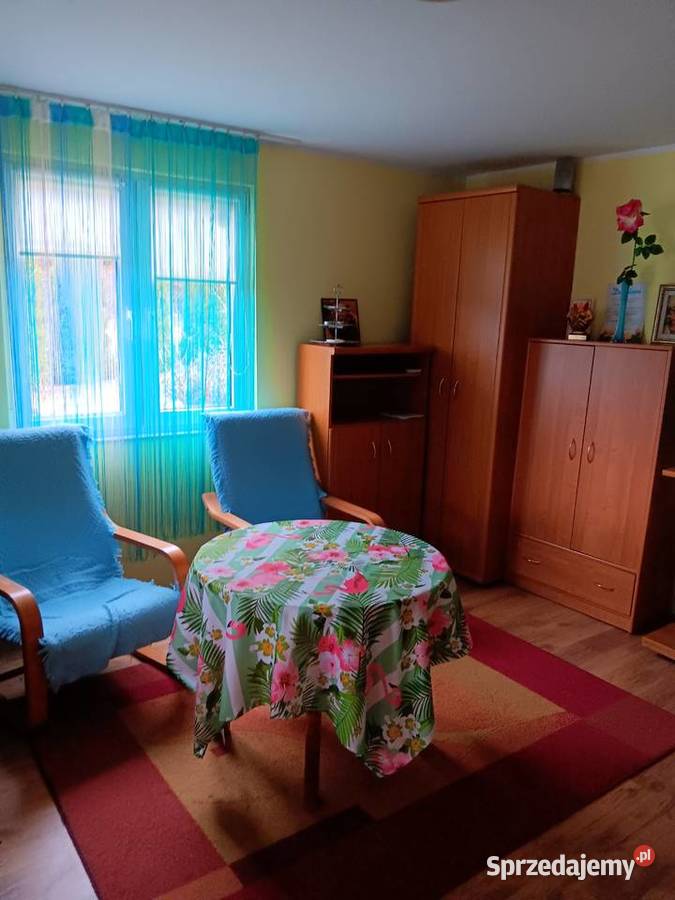 Sprzedam działkę ROD Bielany drewniane