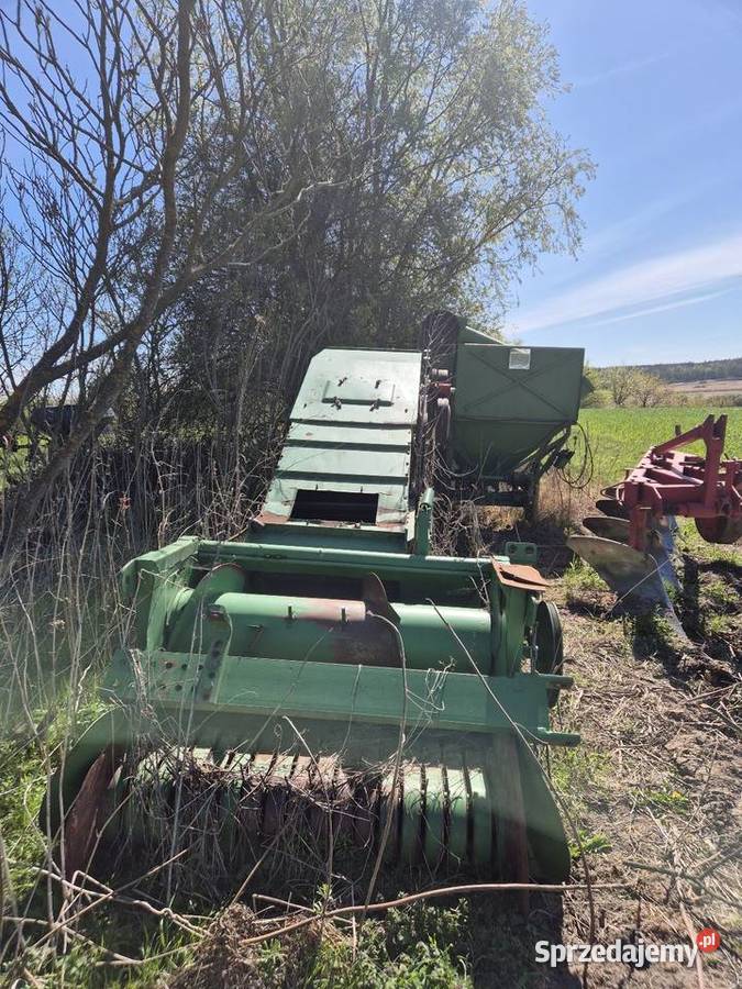 Bizon z020 do fasoli Nielisz