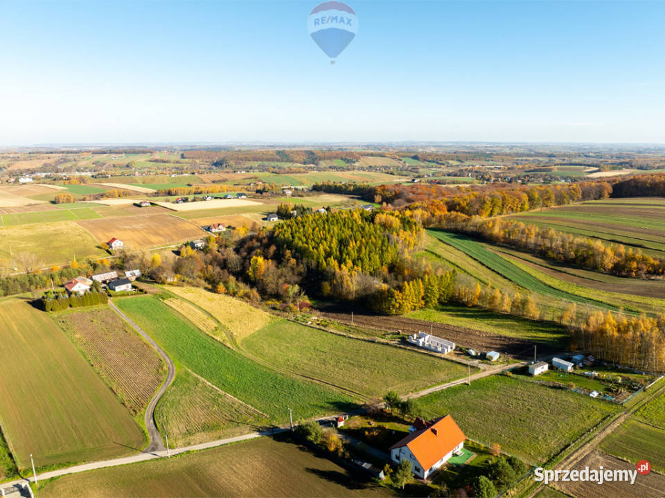 Działka z bijącym źródłem i kawałkiem lasu Stoki sprzedam