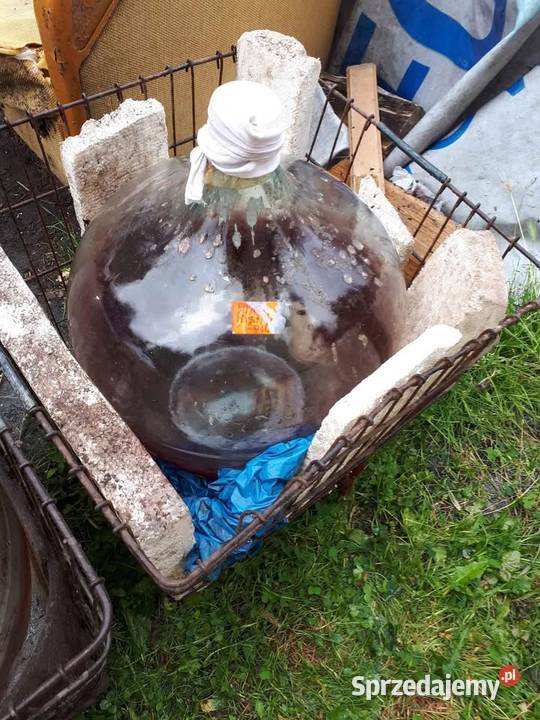 Balon na wino Szczecin