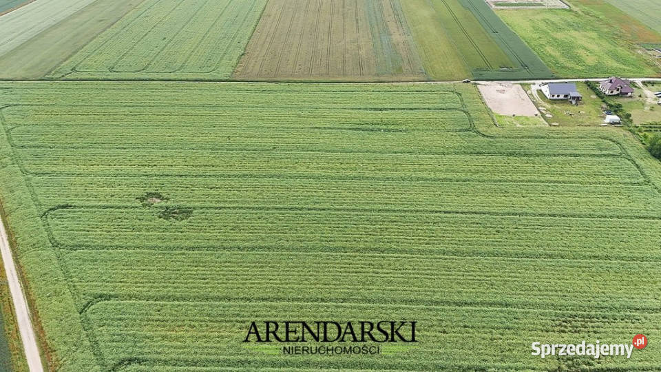 DZIAŁKI BUDOWLANE NA SPRZEDAŻ GRALEWO sprzedam