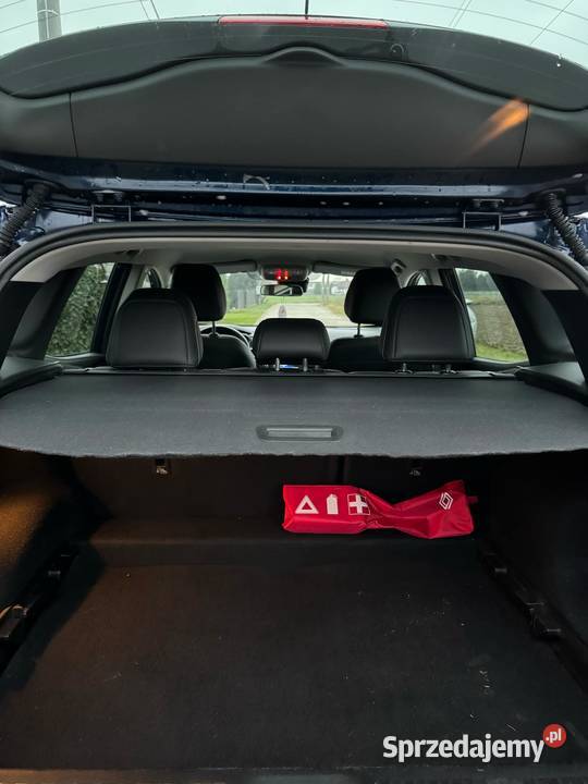 Renault Kadjar 12 130 2016r nieuszkodzony wielkopolskie Odolanów