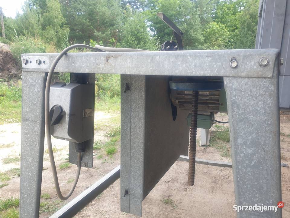 Pila Stołowa Krajzega Staszów