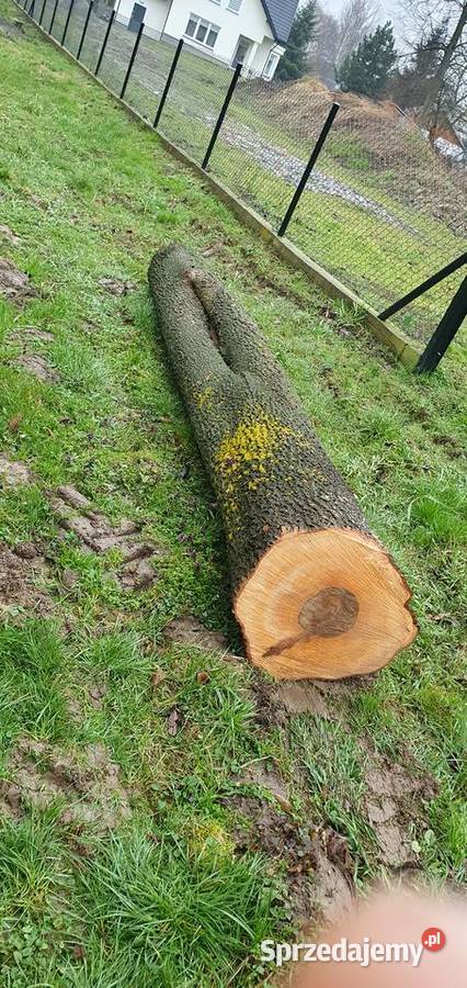 Sprzedam Czelatyce sprzedam