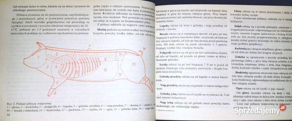Domowe przetwory z mięsa Władysław Poszepczyński Chełm
