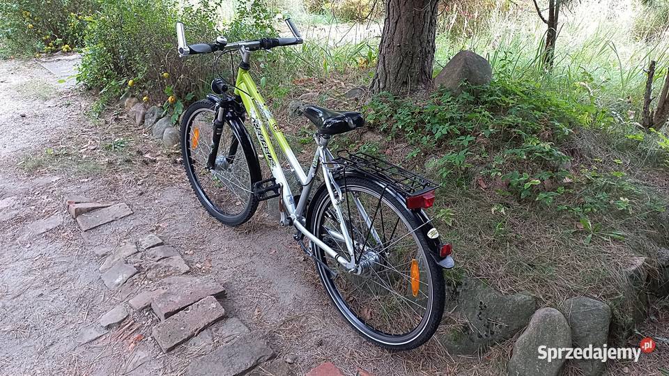 Alu Rower Miejski Młodzieżowy Pegasus Avanti