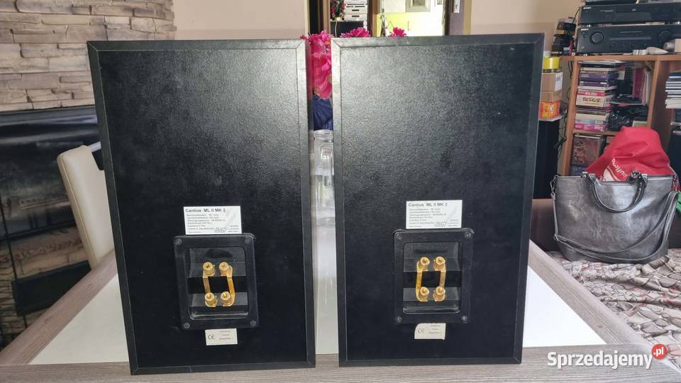 Wybitne kolumny monitory ASW Cantius ML II MK2 Warta