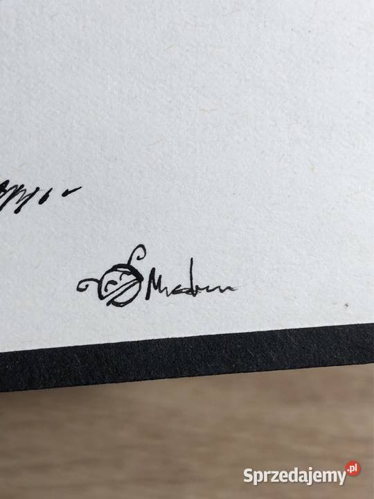 Autorska grafika tuszem Siedzący kot inny kolor