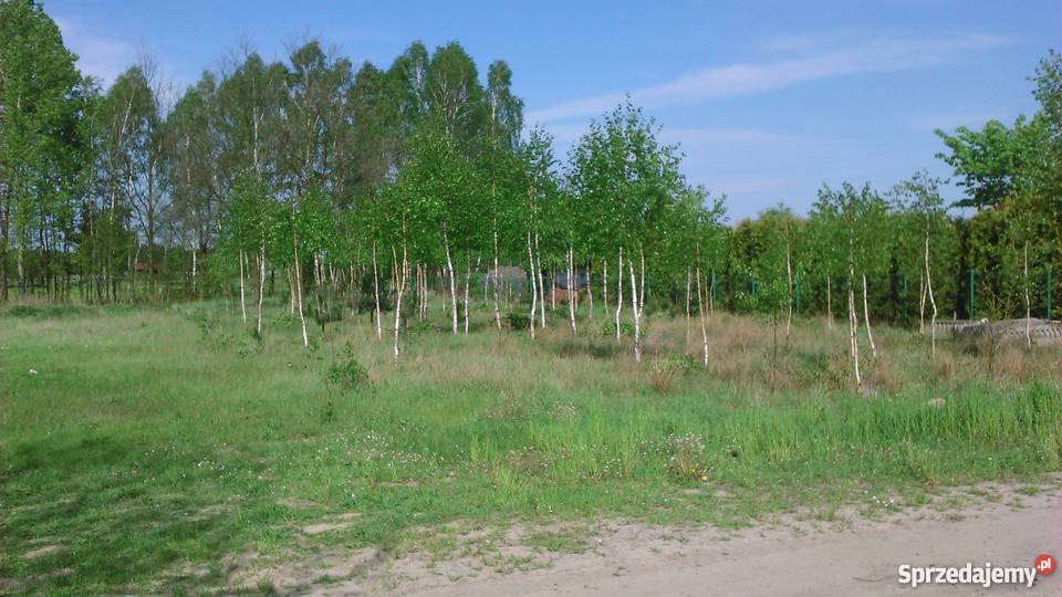 Działka budowlana Tomaszów Maz Ciebłowice Duże łódzkie Ciebłowice Duże