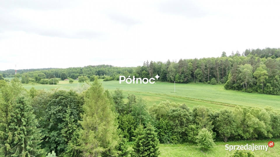piękne ranczo z łąką i lasem pod HoryńcemZdrojem Dziewięcierz