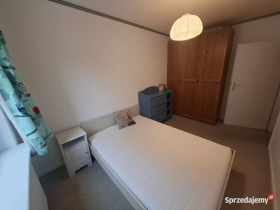 Grunwald 3 pokojowe 66 m2 sieć Wynajem Poznań