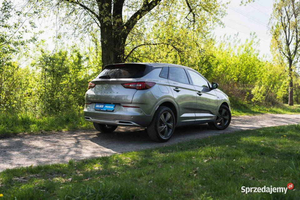 Opel Grandland 12 Turbo wielofunkcyjna kierownica śląskie Katowice