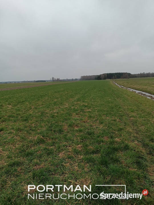 Lasomin gm Siennica 17800 rolna polna mazowieckie sprzedam