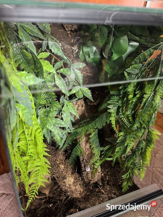 Terraria i akwaria z wyposażeniem i dekoracją Pozostałe dolnośląskie Wrocław