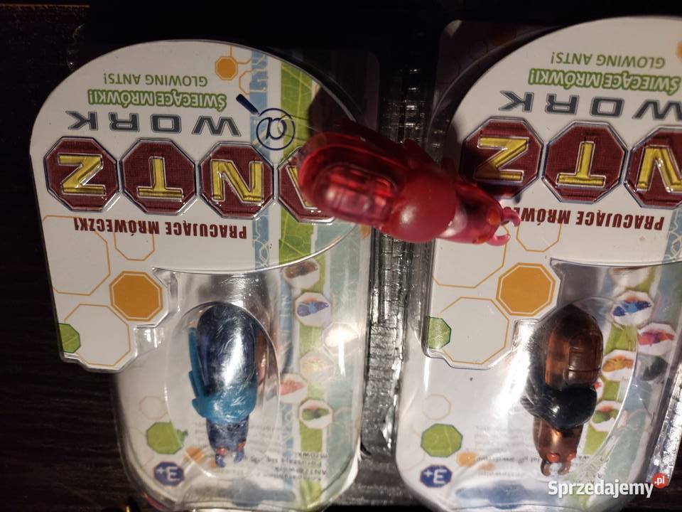 Mrówka ANTZ Work 3 Pozostałe Pozostałe Wrocław