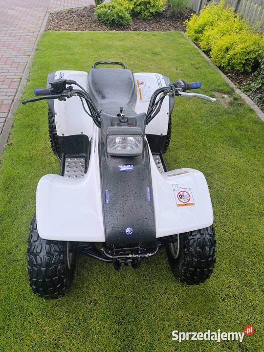 Yamaha breeze 125 quad 125 raptor nieuszkodzony Motoryzacja lubelskie Janów Lubelski