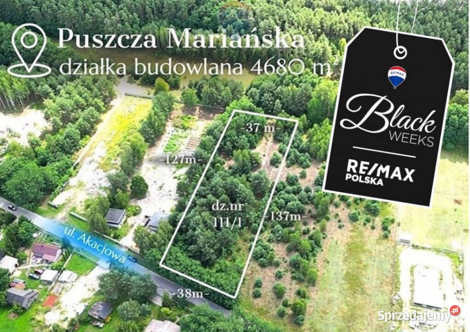 Działka budowlana 4680m2 Puszcza Mariańska