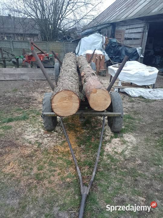 Sprzedam dęba mniejszego tartacznego i dwa Łuków