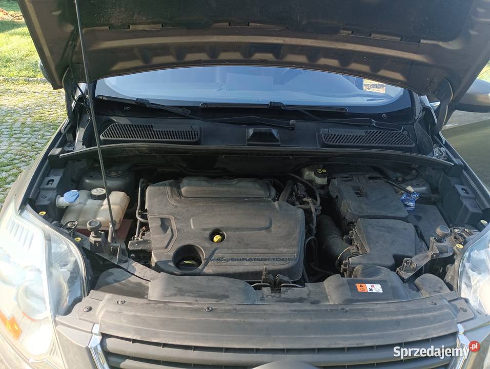 Ford Kuga Gostynin