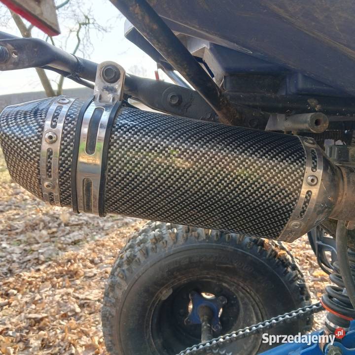 Bashan 200 kupiony w Polsce Pokrzywnica