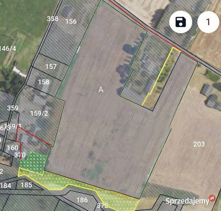 Siedlisko Czernięcin 225 ha dom 148 m 600 000 Czernięcin Poduchowny