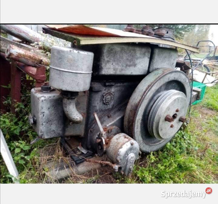 Silniki stacjonarne S60 Komórki