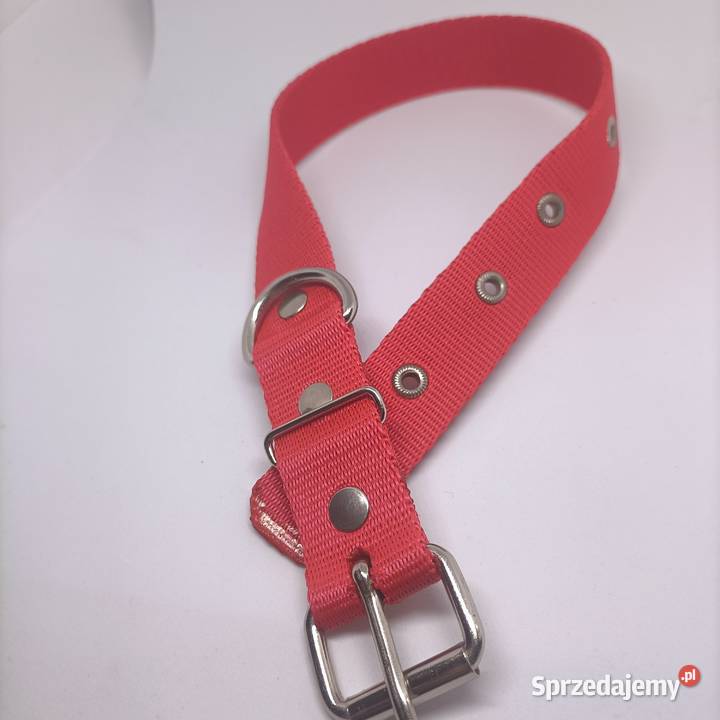 Obroża psa 25mm65 Gorzów Wielkopolski