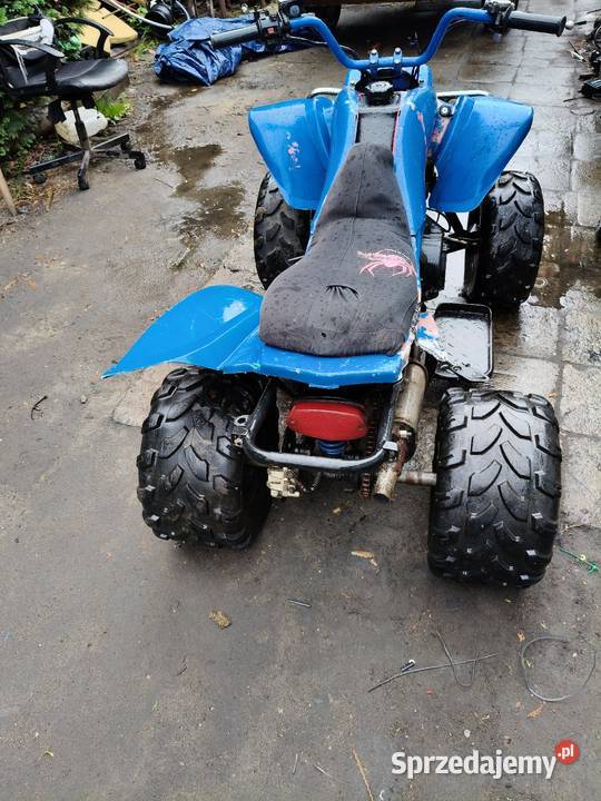 Quad Bashan 150 kujawsko-pomorskie Radziejów