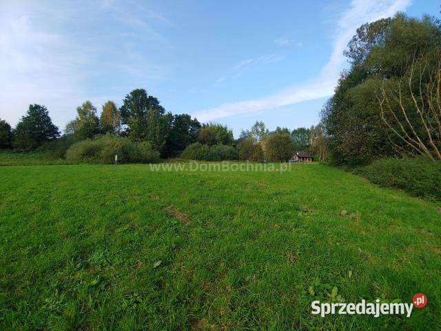 Działkę sprzedam Łąkta Górna 9000m2 16zł/m2