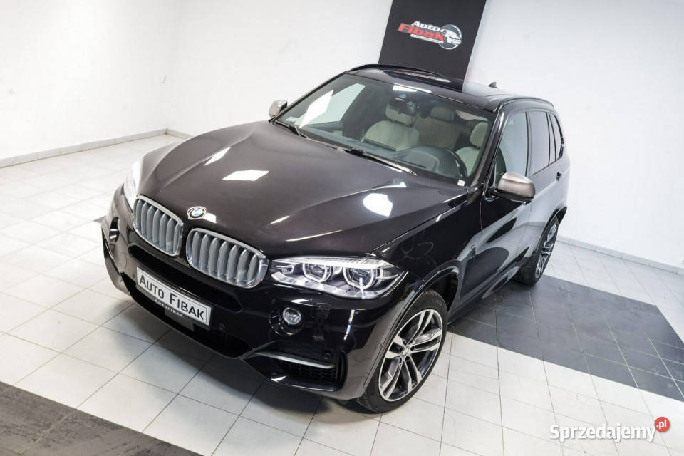 BMW X5 M50 M50DIndividualSalon nieuszkodzony Konstantynów Łódzki