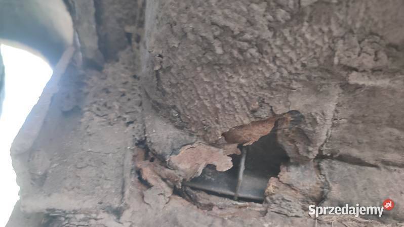 Ford Transit mk5 Przybynów