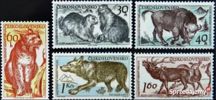 Czechosłowacja Mi 1153 1157 1959 r zwierzęta Kętrzyn