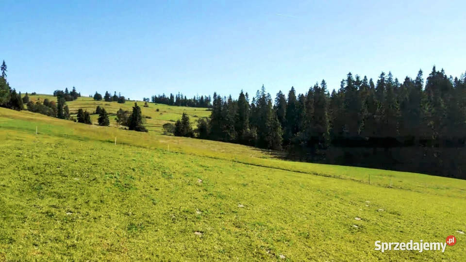 DZIAŁKA W RZEPISKACH Z WIDOKIEM NA TATRY 161zł/m2 Rzepiska