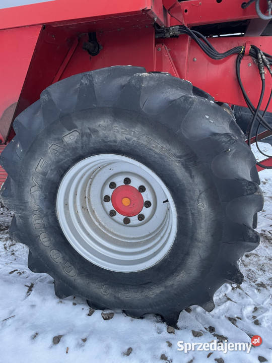 Massey Fergusson MF 30 32 koło felga opona Jastrzębniki