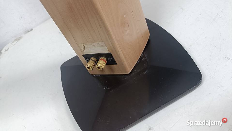 ASW OPUS niemieckie i smukłe kolumny audio Poznań