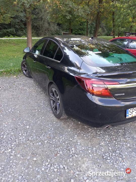 Opel Insignia 20 diesel 170 serwisowany światła do jazdy dziennej Suszec sprzedam