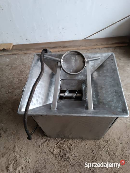 Wilk do mięsa Pozostałe pomorskie Gałęzów sprzedam