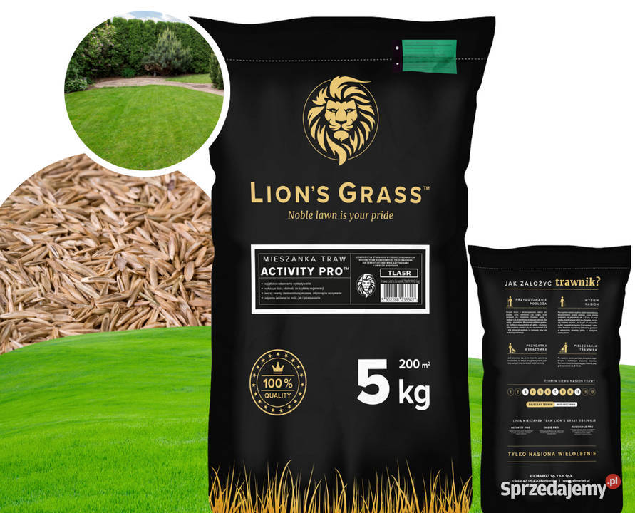 trawa SPORTOWA DYWANOWA GĘSTA nasiona na boisko Cieśle