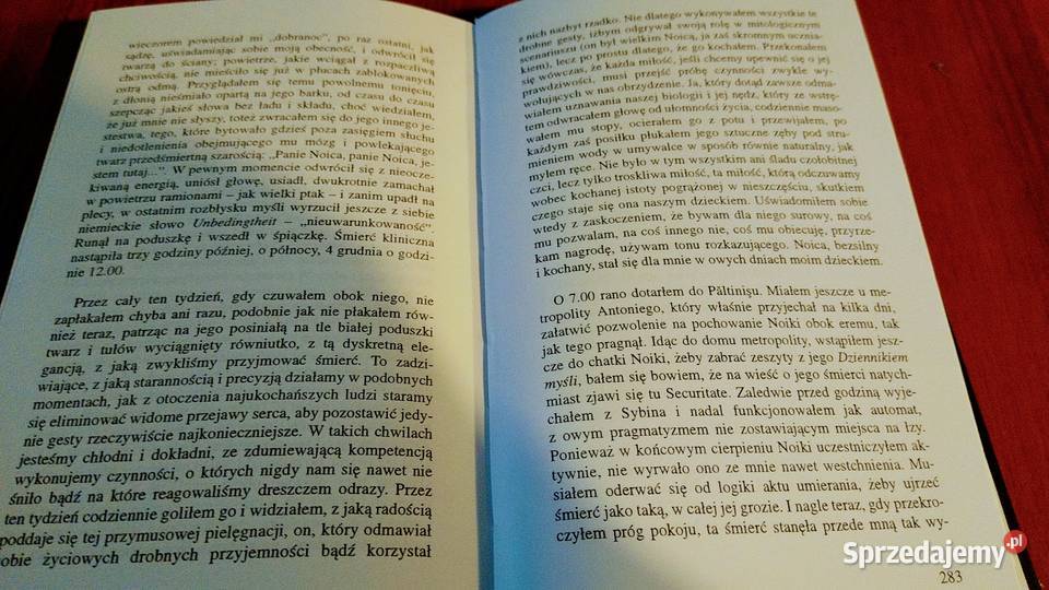Dziennik z Paltinisu pajdeja jako model w Kultura i Rozrywka Gdańsk