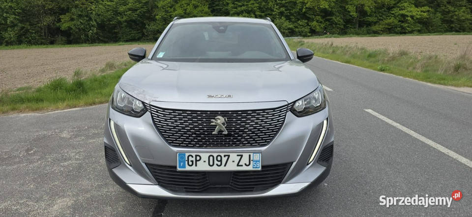 Peugeot 2008 2008 8 II 2019 Pleszew
